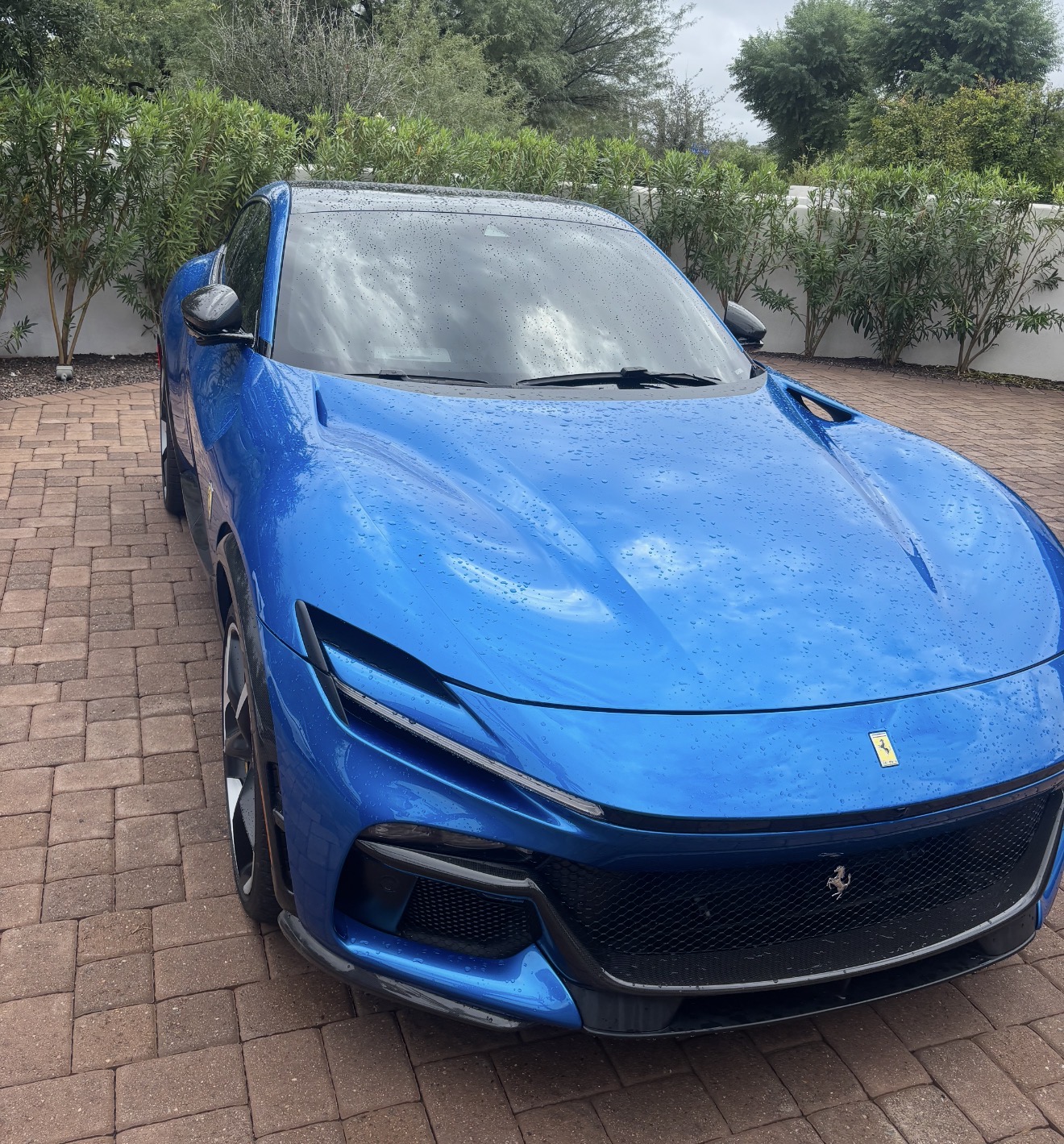 Over ten Ferraris on display at $12 million Paradise Valley estate during Esperienza Ferrari Scottsdale